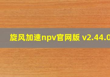 旋风加速npv官网版 v2.44.00